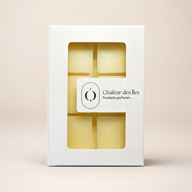 Les brûleurs & fondants
